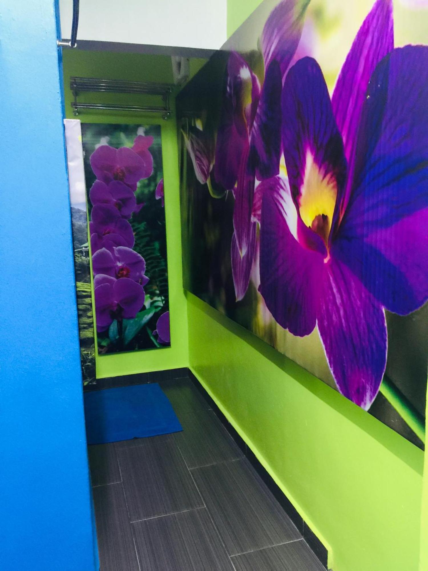 Lily Haven Hotel C-1 Tanah Rata Esterno foto