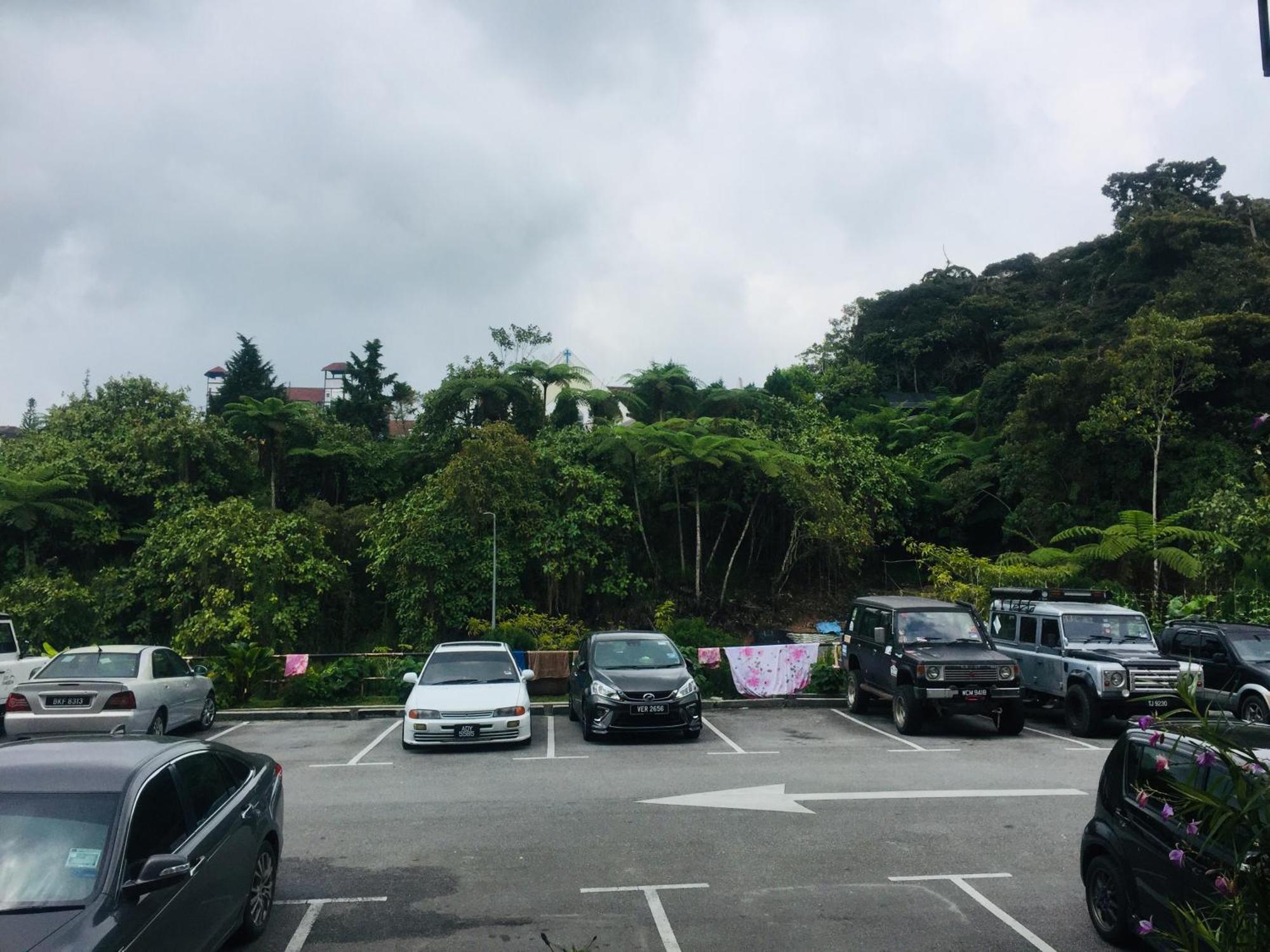 Lily Haven Hotel C-1 Tanah Rata Esterno foto