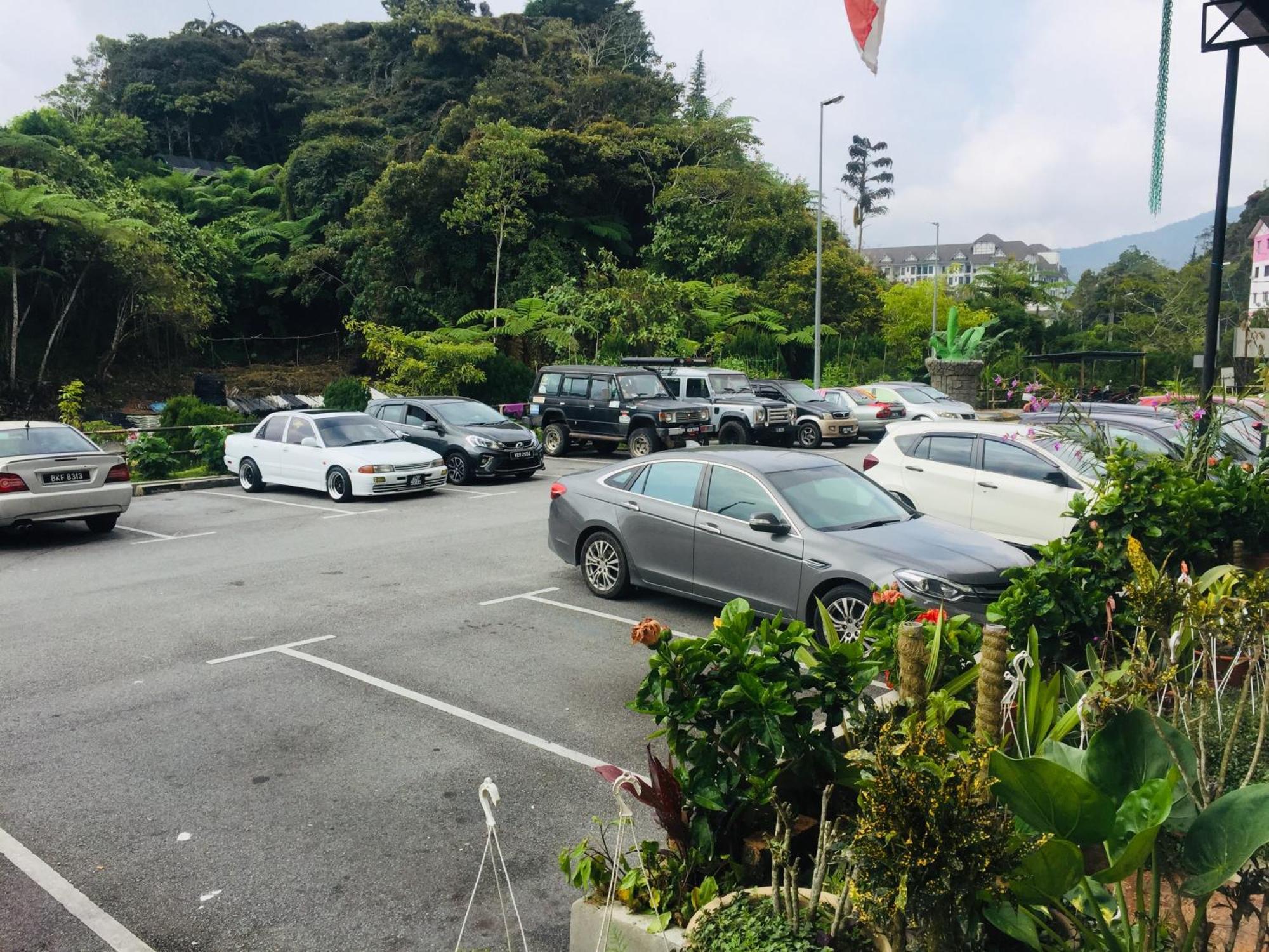 Lily Haven Hotel C-1 Tanah Rata Esterno foto